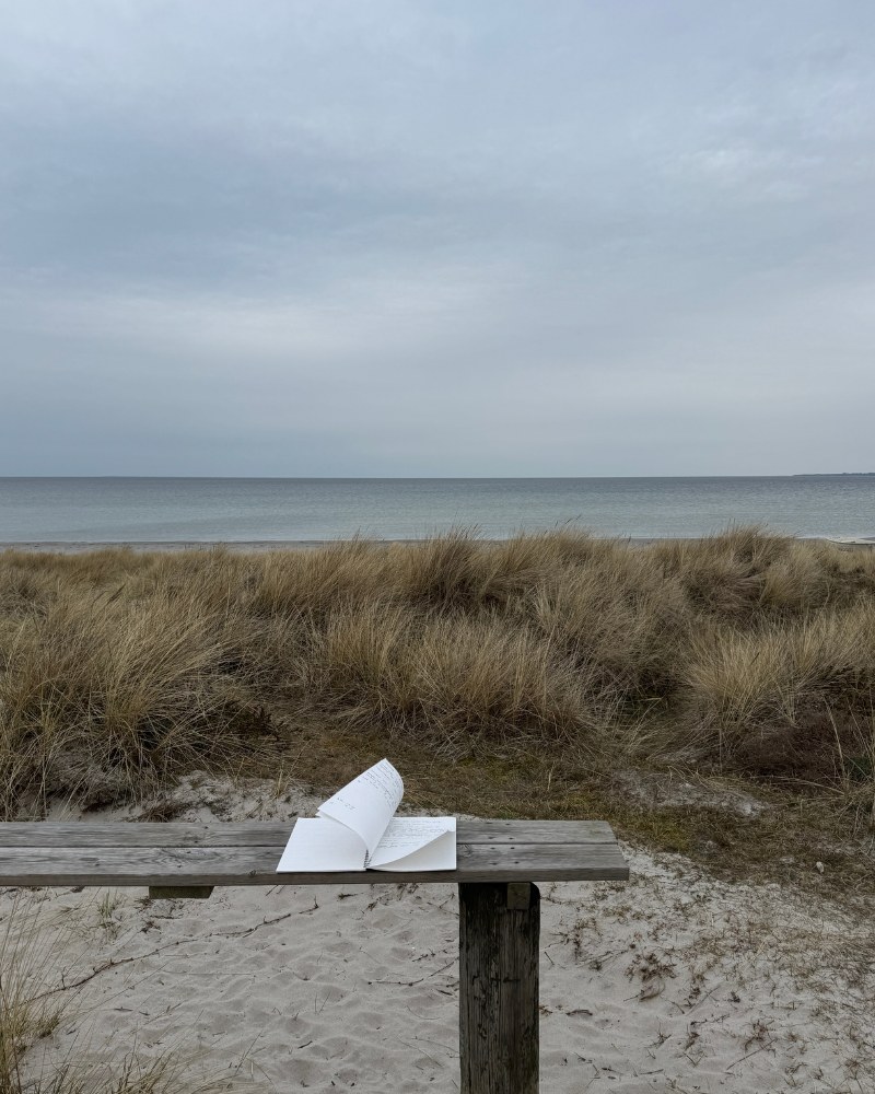 Dagbog ved havet